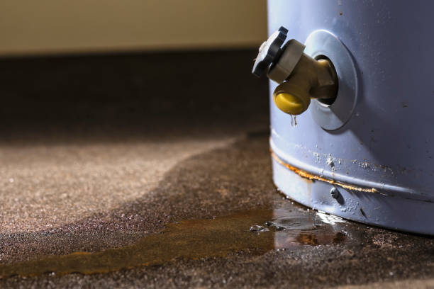 Best Water damage restoration near me  in Potomac Heights, MD