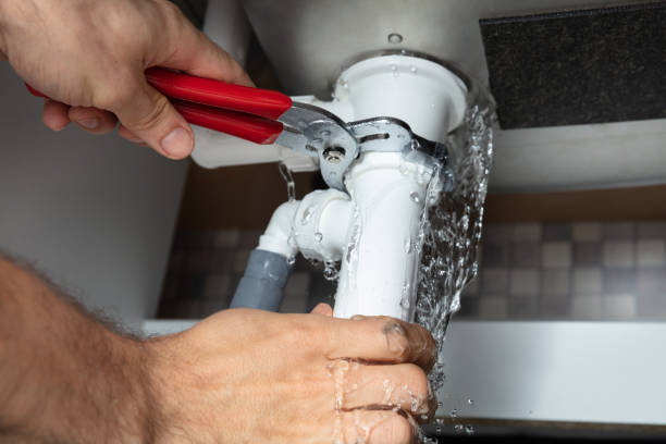 Best Carpet water damage restoration  in Potomac Heights, MD