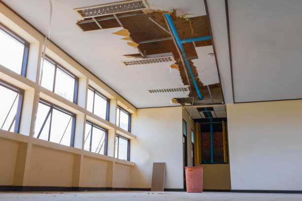 Best 24/7 water damage repair  in Potomac Heights, MD
