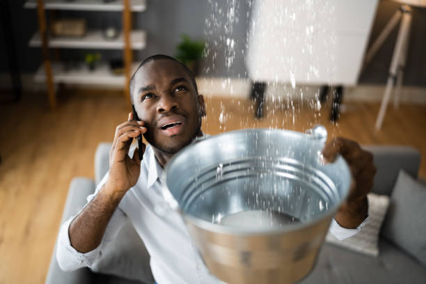 Best 24/7 water damage repair  in Potomac Heights, MD