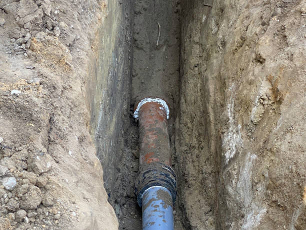 Best Flood restoration services  in Potomac Heights, MD