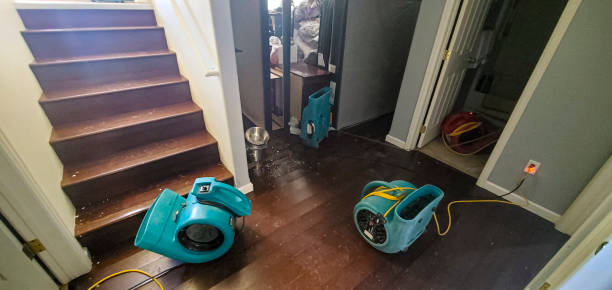 Best Water damage restoration near me  in Potomac Heights, MD