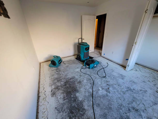 Best Water damage restoration mold remediation  in Potomac Heights, MD