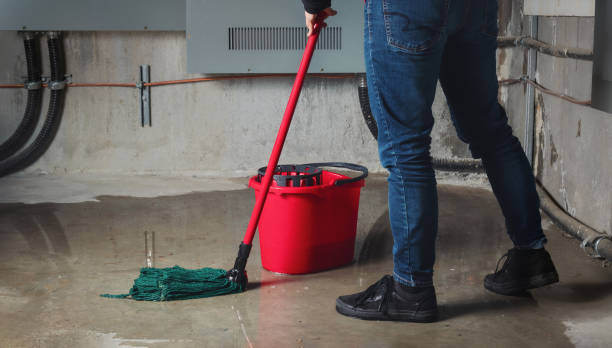 Best Basement water damage restoration  in Potomac Heights, MD