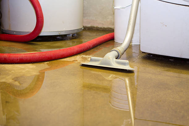 Water damage restoration mold remediation in Potomac Heights, MD