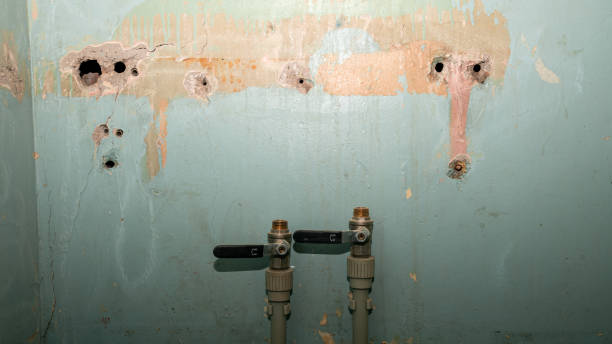 Best Basement water damage restoration  in Potomac Heights, MD