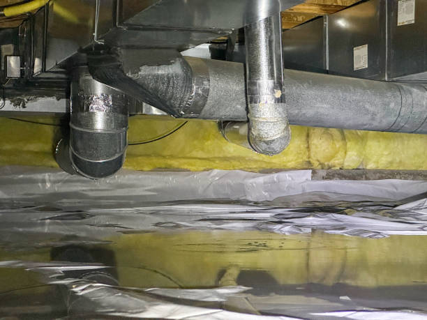 Best Water damage cleanup near me  in Potomac Heights, MD