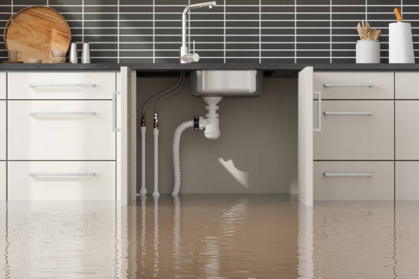 Best Basement water damage restoration  in Potomac Heights, MD