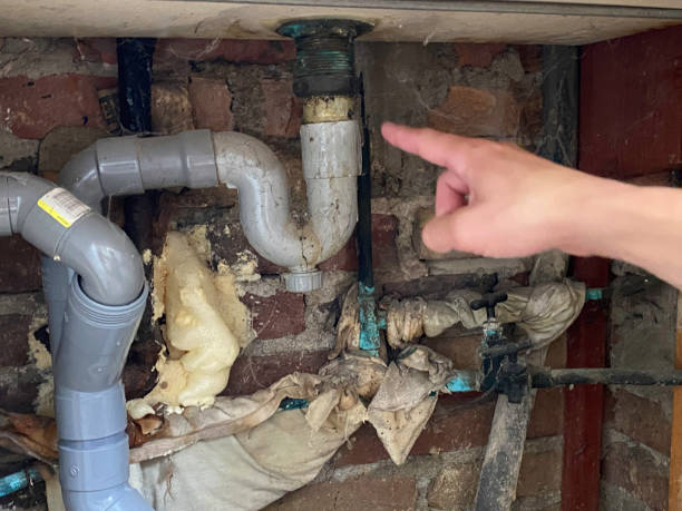 Best Mold removal after water damage  in Potomac Heights, MD