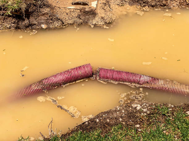 Best Water damage contractors near me  in Potomac Heights, MD