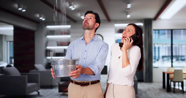 Best Fire Damage Restoration  in Potomac Heights, MD